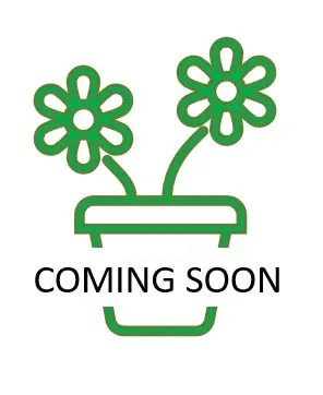 Coming Soon - Placeholder Compressed
