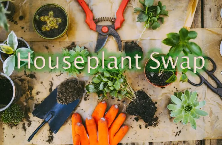 Houseplant Swap - Tuula - Logo Compressed