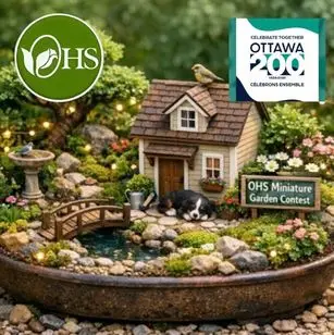 OHS and ottawa 200 block party and mini contest logo Compressed