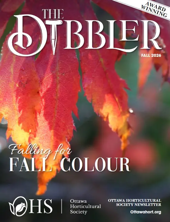 The Dibbler Fall 2026 Cover Page Compressed