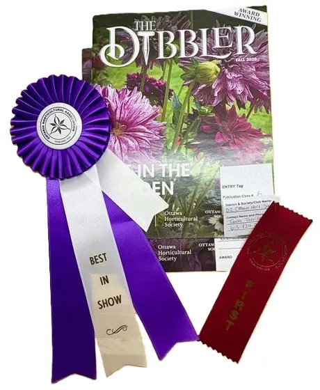 The Dibbler WInner 2026 OHA no background Compressed